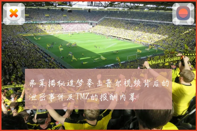 弗莱揭秘追梦拳击普尔视频背后的泄密事件及TMZ的报酬内幕